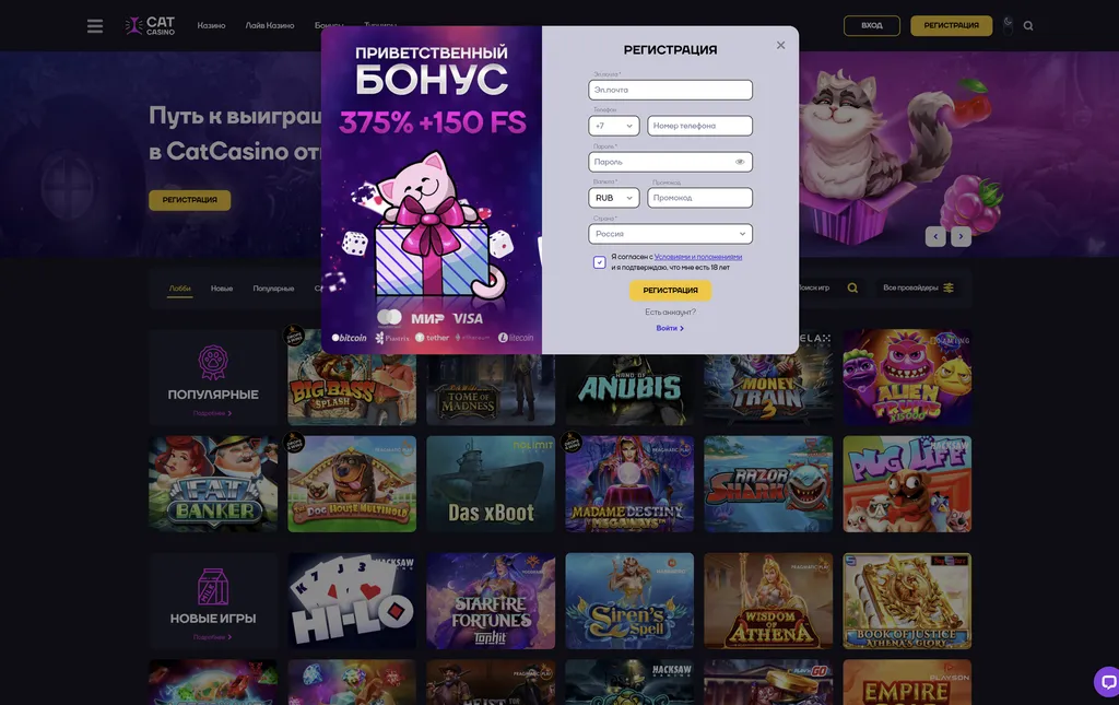 Начните путь с удобной регистрации в Cat Casino 